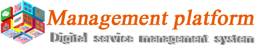 Professional Digital Service platform